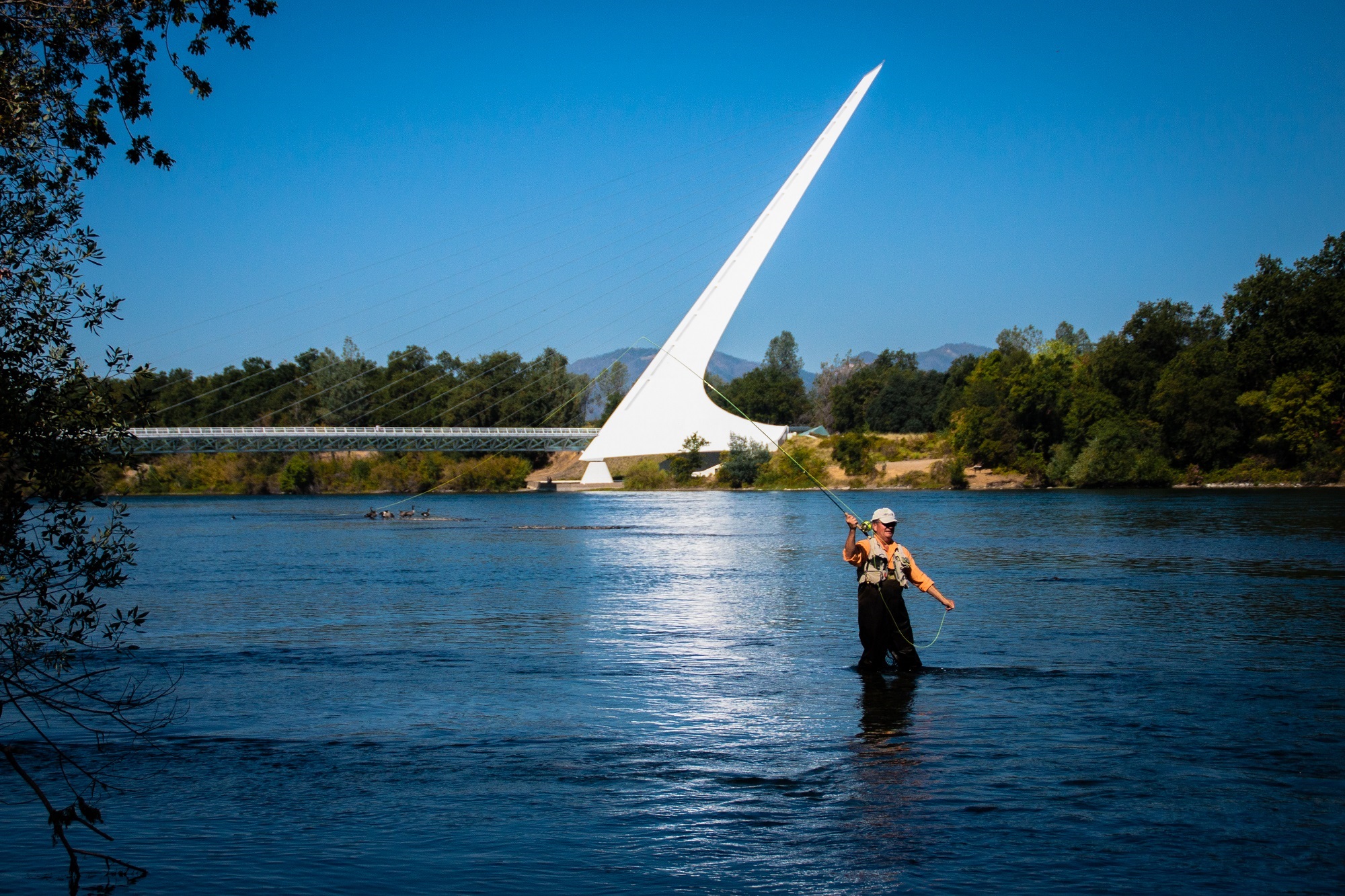 The Five Best Fishing Spots Around Redding